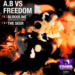 Bloodline (Rikki Arkitech Remix) / The Seer
