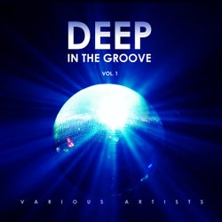 Deep in the Groove, Vol. 1
