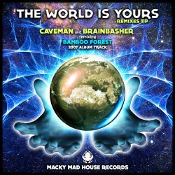 The World Is Yours - 2014 The Remixes