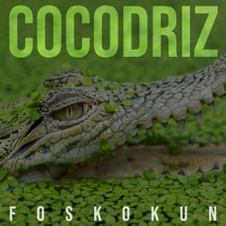 Cocodriz