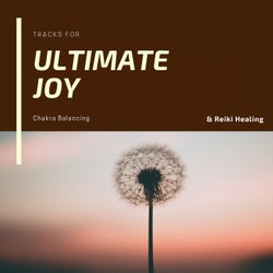 Ultimate Joy - Tracks For Chakra Balancing & Reiki Healing