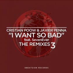 I Want So Bad (The Remixes 3)
