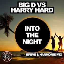 Into The Night (Breve & Harmonie Remix)