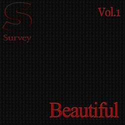 Beautiful, Vol.1