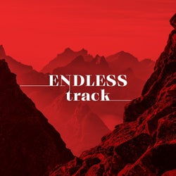 Endless Track