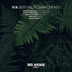 Deep House Sampler 001
