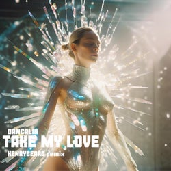 Take my love (HenryBeard Remix)