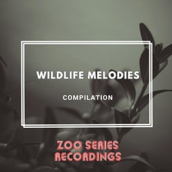 Wildlife Melodies