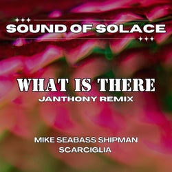 What is There (feat. Mike Seabass Shipman & Scarciglia) [Janthony Remix]
