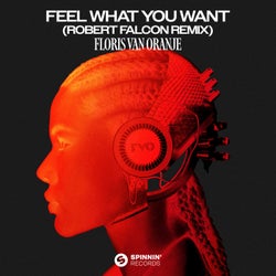 Feel What You Want (Robert Falcon Remix) (Extended Mix)