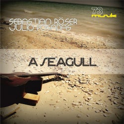 A Seagull (Sebastian Roser & Julio Posadas Remix)