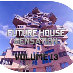 Future House Sensation, Vol.13 (BEST SELECTION OF CLUBBING HOUSE TRACKS)