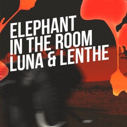 Elephant In The Room
