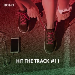 Hit The Track, Vol. 11