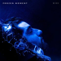 Frozen Moment