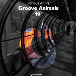 Groove Animals 19