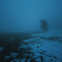 hollow nights