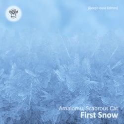 First Snow