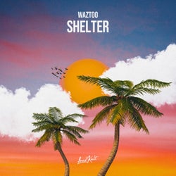 Shelter