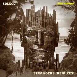 Strangers (Remixes)