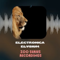 Electronica Elysium