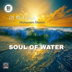 Soul of Water