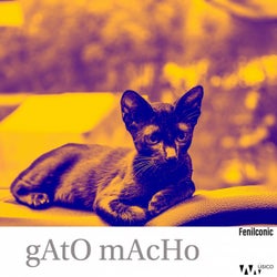 Gato Macho