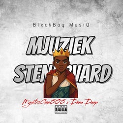 Mjuziek x Stenarvard