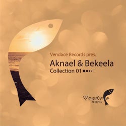 Vendace Records pres. Aknael & Bekeela Collection 01