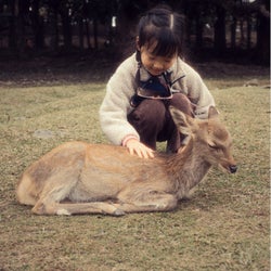 Les Biches de Nara