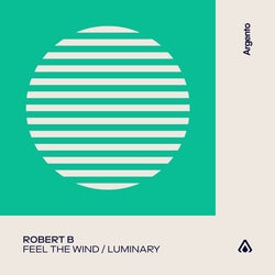 Feel The Wind / Luminary Chart