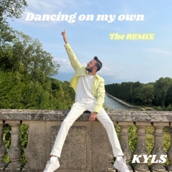 Dancing on My Own (Remix)