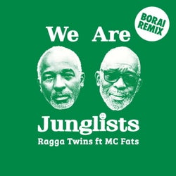 We Are Junglists (Borai Remix)