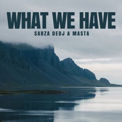 What We Have