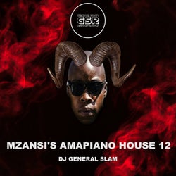 Mzansi's Amapiano House 12