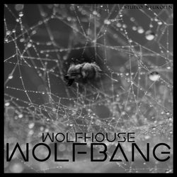 Wolfhouse