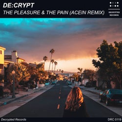 The Pleasure & The Pain - Acein Remix
