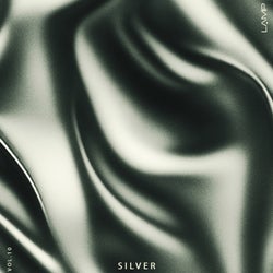 Silver, Vol. 10