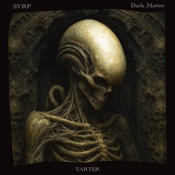 Dark Matter
