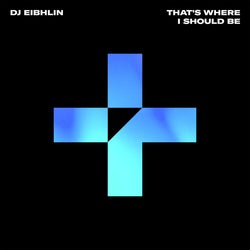 That's Where I Should Be (Extended Mix)