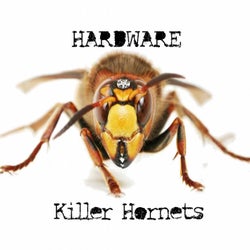 Killer Hornets