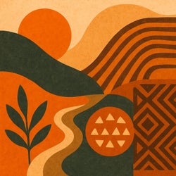 Pochette pour African Dream