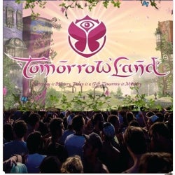 Summer Big Beat's Special Tomorrowland 2012