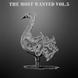 The Most Wanted Vol.5