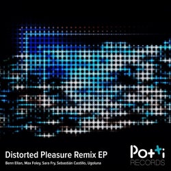 Distorted Pleasure Remixes