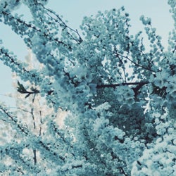 Spring will come late this year