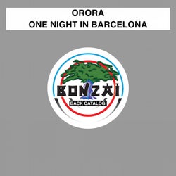 One Night in Barcelona