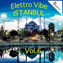 Elettro Vibe Istanbul, Vol. 6