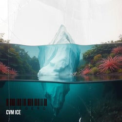 Iceberg