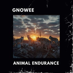 ANIMAL ENDURANCE